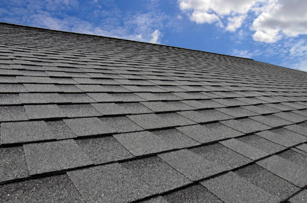 Professional Roofing in Daleville, IN